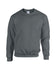 products/G18000_Heavy_Blend_Sweat_-_Charcoal_42_-_Hollow-min.jpg