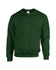 products/G18000_Heavy_Blend_Sweat_-_Forest_Green_33_-_Hollow-min.jpg