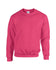 products/G18000_Heavy_Blend_Sweat_-_Heliconia_10_-_Hollow-min.jpg