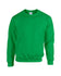 products/G18000_Heavy_Blend_Sweat_-_Irish_Green_167_-_Hollow-min.jpg