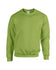 products/G18000_Heavy_Blend_Sweat_-_Kiwi_186_-_Hollow-min.jpg