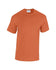 products/G5000_Heavy_T_Adult_-_Antique_Orange_252_-_Hollow-min.jpg